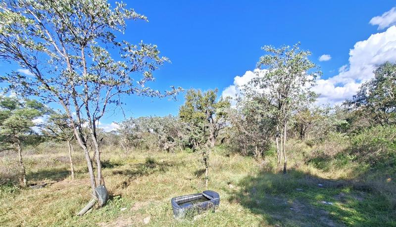 4 Bedroom Property for Sale in Vaalwater Limpopo