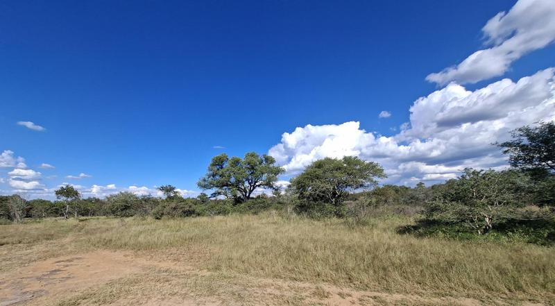 4 Bedroom Property for Sale in Vaalwater Limpopo