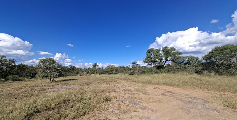 4 Bedroom Property for Sale in Vaalwater Limpopo