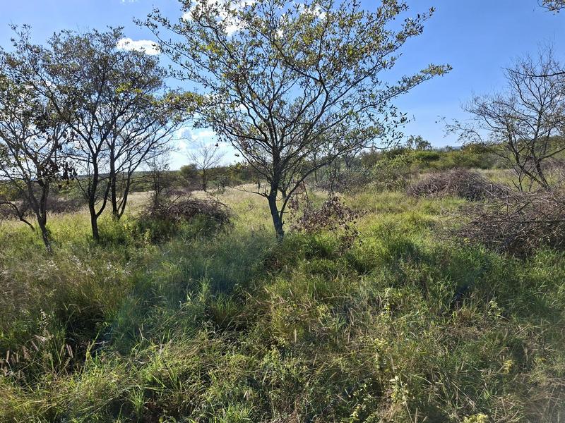 4 Bedroom Property for Sale in Vaalwater Limpopo