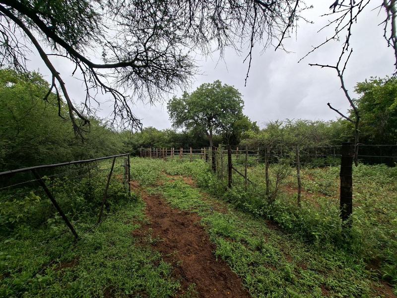 0 Bedroom Property for Sale in Lephalale Limpopo