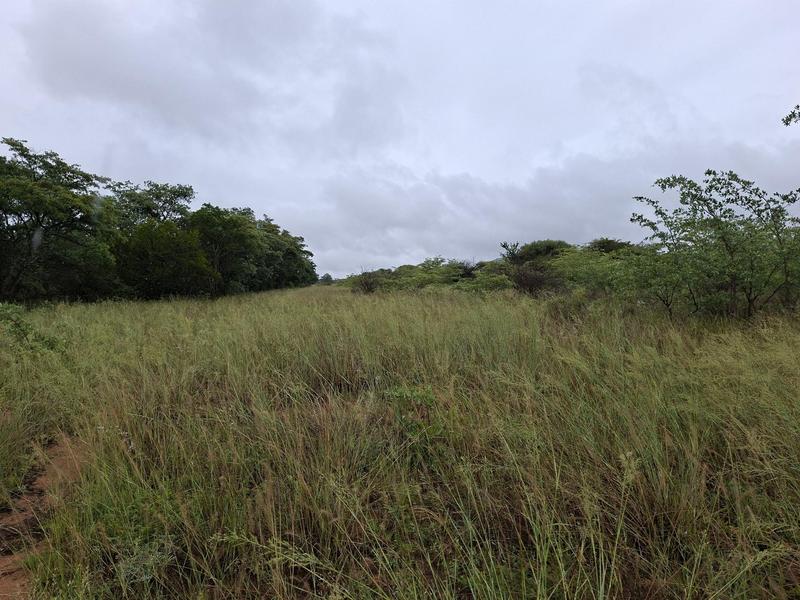 0 Bedroom Property for Sale in Lephalale Limpopo