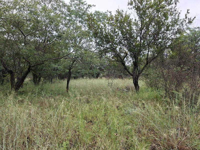 0 Bedroom Property for Sale in Lephalale Limpopo