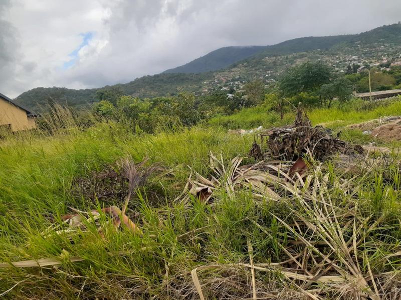 0 Bedroom Property for Sale in Gakgapane Limpopo