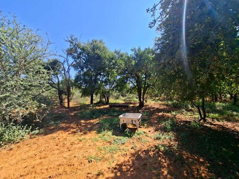 0 Bedroom Property for Sale in Marken Limpopo