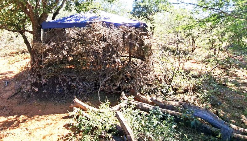 0 Bedroom Property for Sale in Marken Limpopo