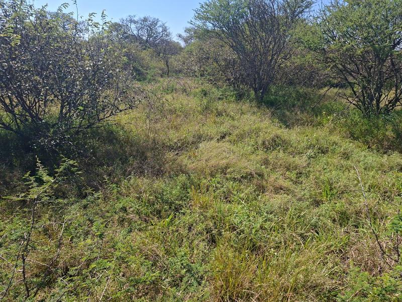 0 Bedroom Property for Sale in Marken Limpopo