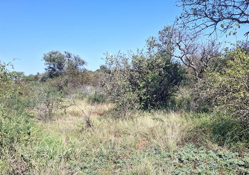 0 Bedroom Property for Sale in Marken Limpopo