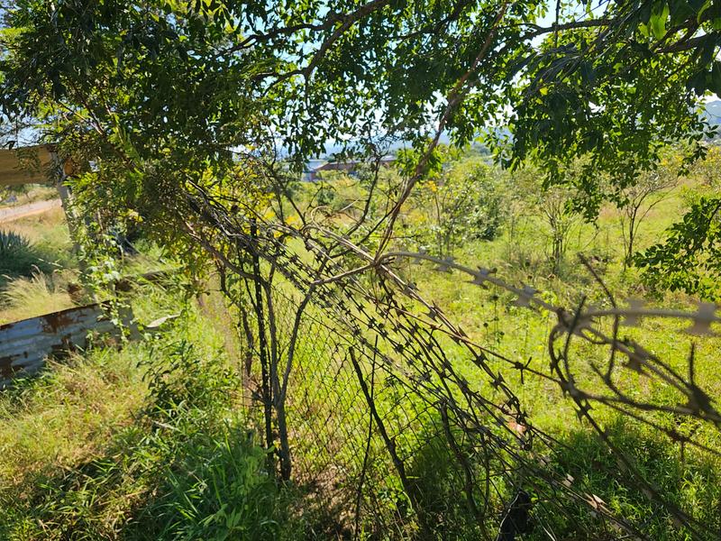 0 Bedroom Property for Sale in Dumasi Limpopo