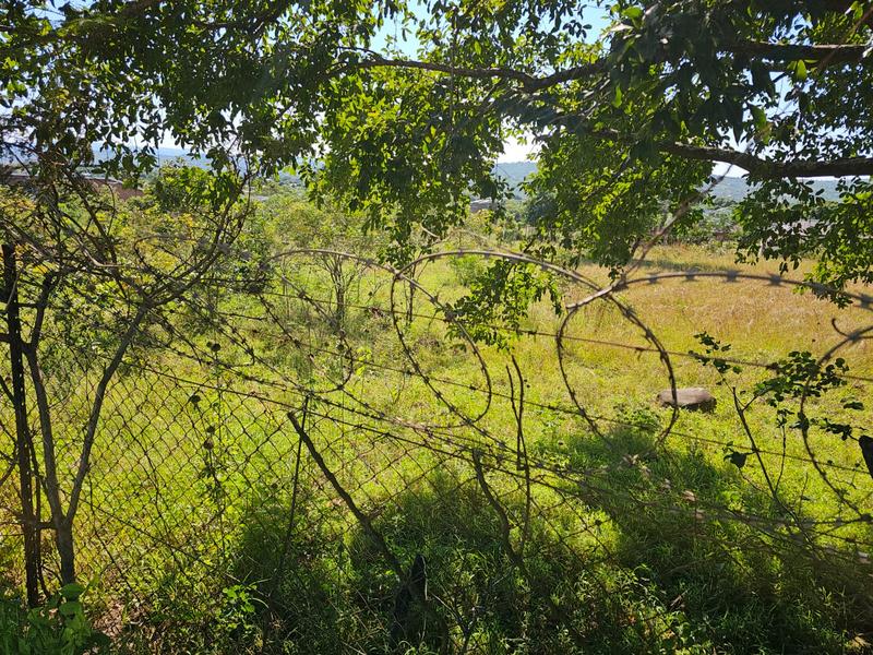 0 Bedroom Property for Sale in Dumasi Limpopo