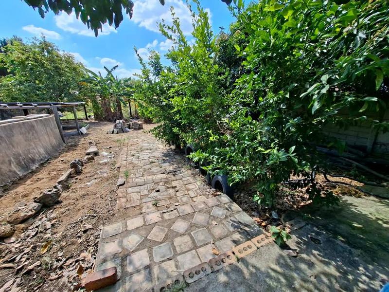 4 Bedroom Property for Sale in Ladanna Limpopo