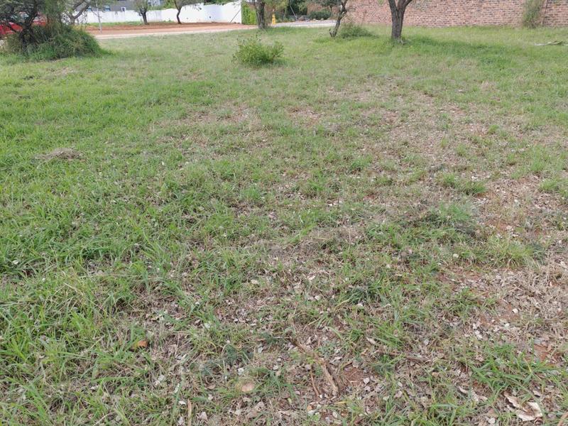 0 Bedroom Property for Sale in The Aloes Lifestyle Estate Limpopo