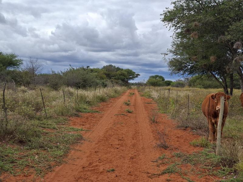 0 Bedroom Property for Sale in Baltimore Limpopo
