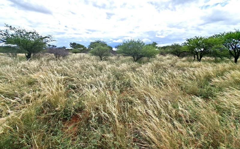 0 Bedroom Property for Sale in Baltimore Limpopo
