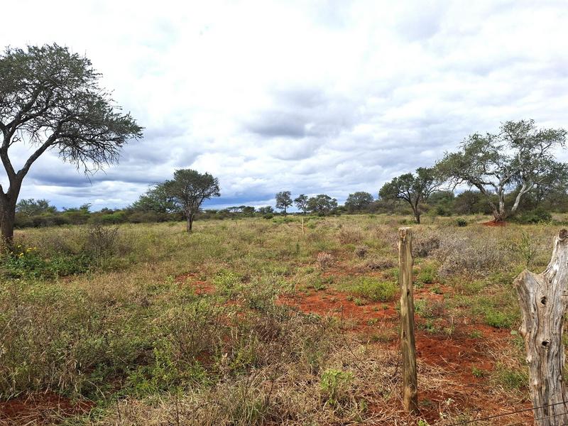 0 Bedroom Property for Sale in Baltimore Limpopo