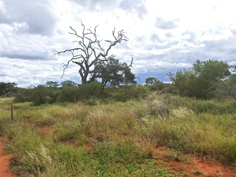 0 Bedroom Property for Sale in Baltimore Limpopo