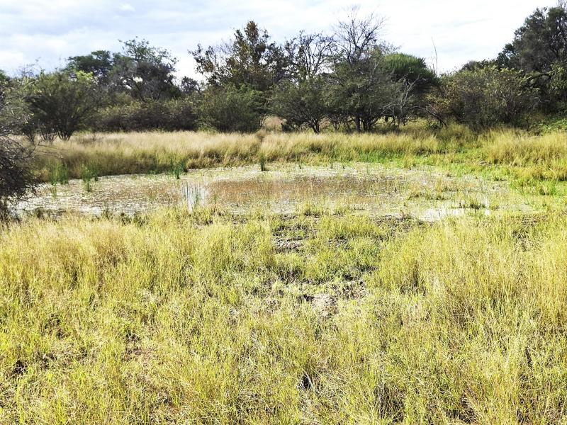 0 Bedroom Property for Sale in Baltimore Limpopo