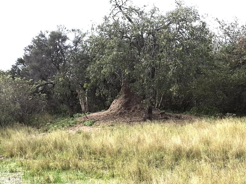 0 Bedroom Property for Sale in Baltimore Limpopo