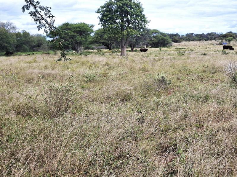 0 Bedroom Property for Sale in Baltimore Limpopo