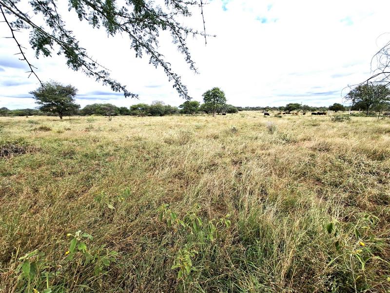 0 Bedroom Property for Sale in Baltimore Limpopo