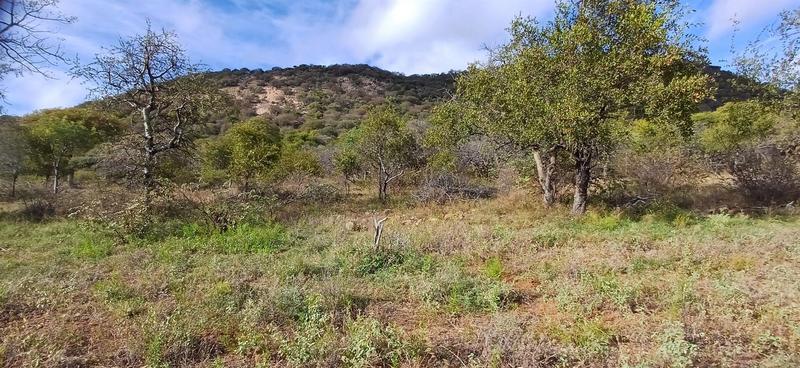 0 Bedroom Property for Sale in Marken Limpopo