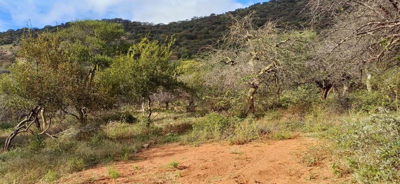 0 Bedroom Property for Sale in Marken Limpopo