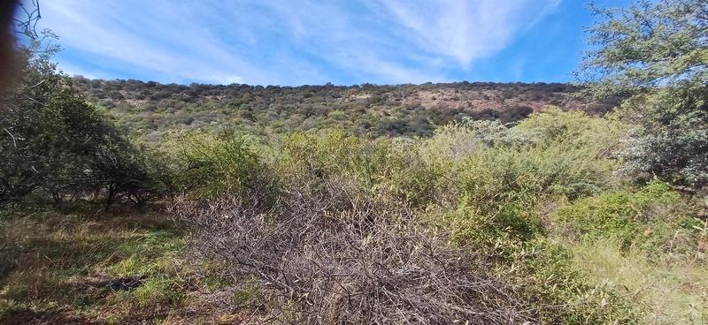 0 Bedroom Property for Sale in Marken Limpopo