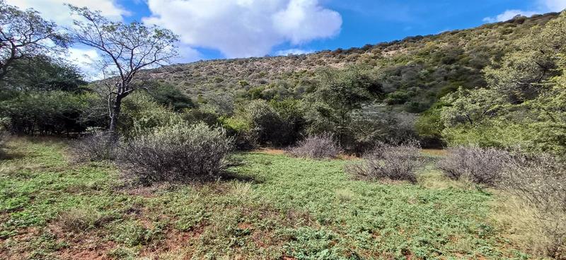 0 Bedroom Property for Sale in Marken Limpopo