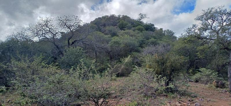 0 Bedroom Property for Sale in Marken Limpopo