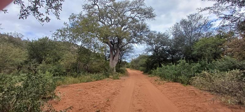 0 Bedroom Property for Sale in Marken Limpopo