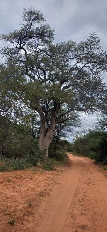 0 Bedroom Property for Sale in Marken Limpopo