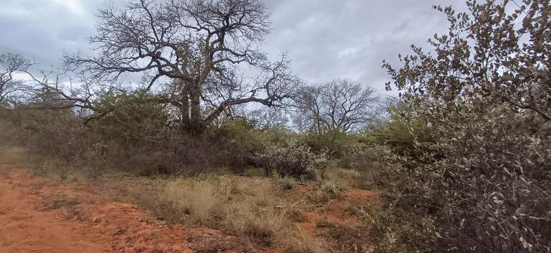 0 Bedroom Property for Sale in Marken Limpopo