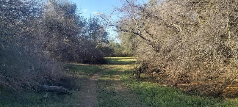 1 Bedroom Property for Sale in Lephalale Limpopo