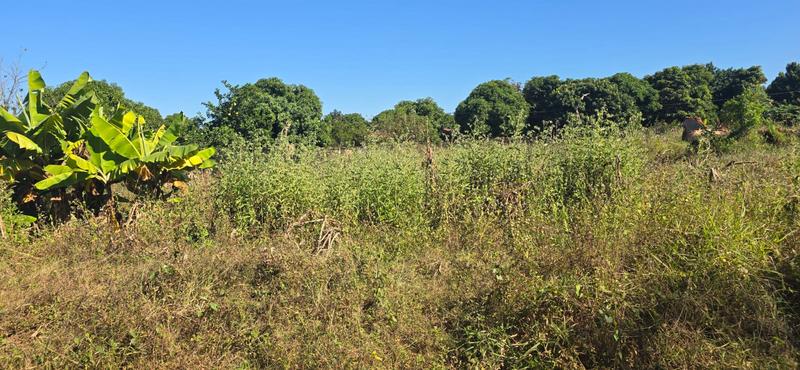 0 Bedroom Property for Sale in Muledane Limpopo