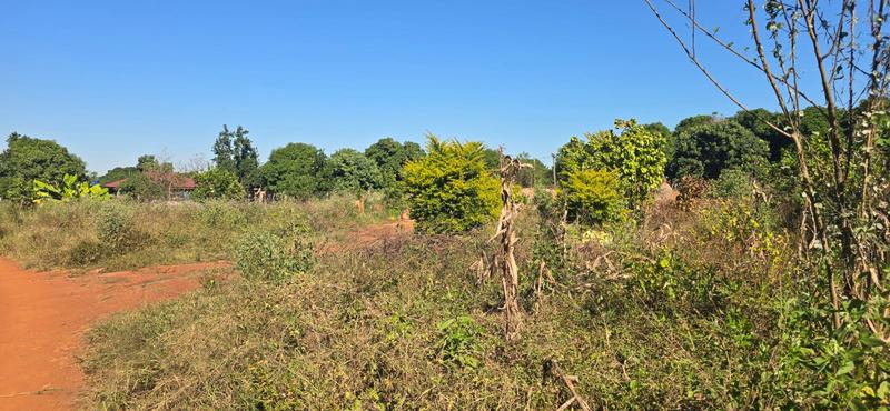 0 Bedroom Property for Sale in Muledane Limpopo