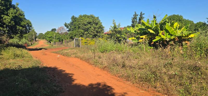 0 Bedroom Property for Sale in Muledane Limpopo