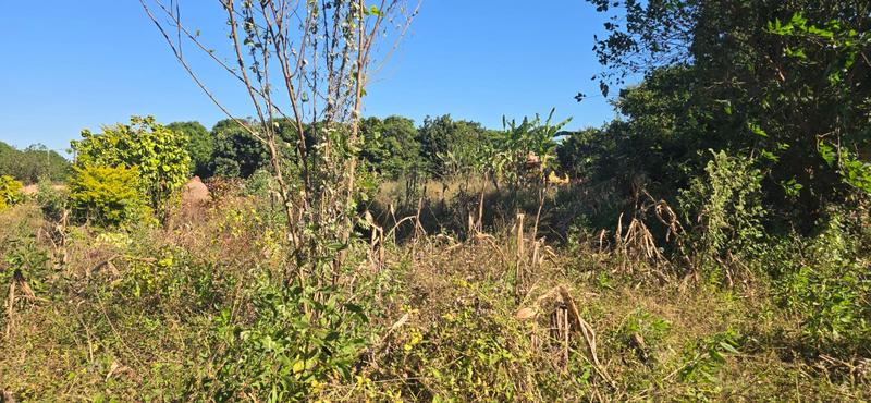 0 Bedroom Property for Sale in Muledane Limpopo