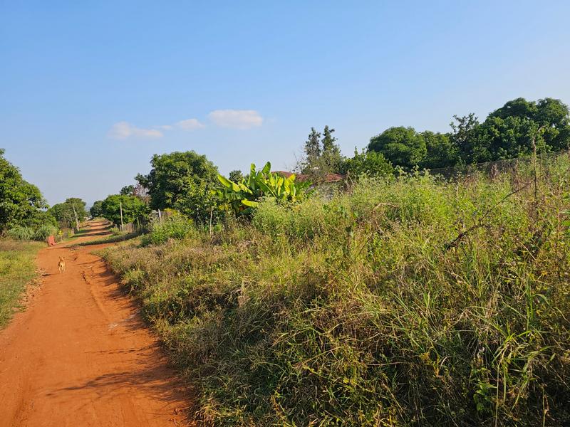 0 Bedroom Property for Sale in Muledane Limpopo