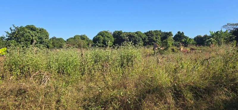 0 Bedroom Property for Sale in Muledane Limpopo
