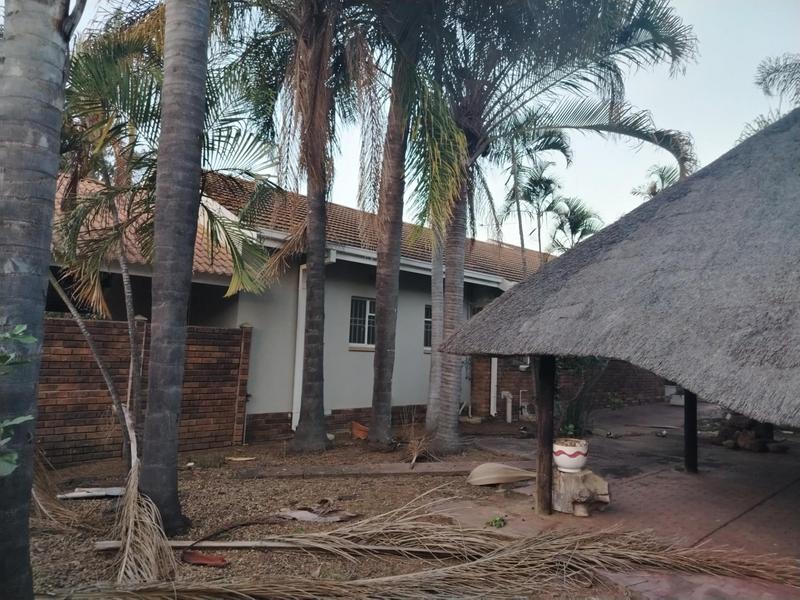 To Let 3 Bedroom Property for Rent in Bendor Limpopo