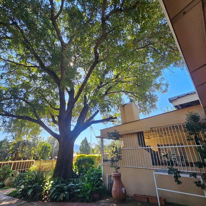 3 Bedroom Property for Sale in Thabazimbi Limpopo