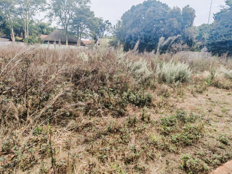 0 Bedroom Property for Sale in Bendor Limpopo