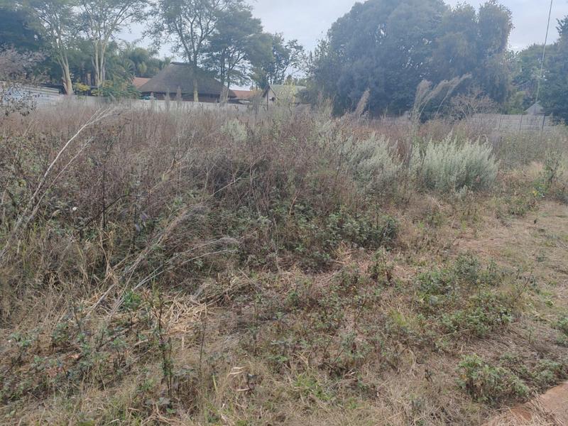 0 Bedroom Property for Sale in Bendor Limpopo