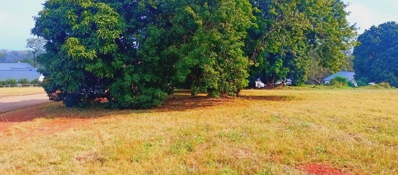 0 Bedroom Property for Sale in Doornhoek Equestrian Estate Limpopo