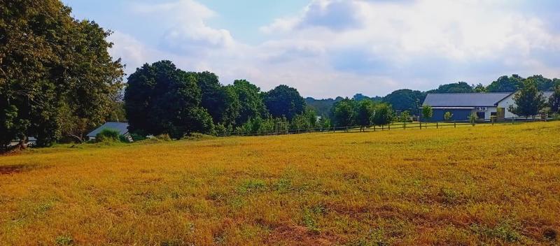 0 Bedroom Property for Sale in Doornhoek Equestrian Estate Limpopo