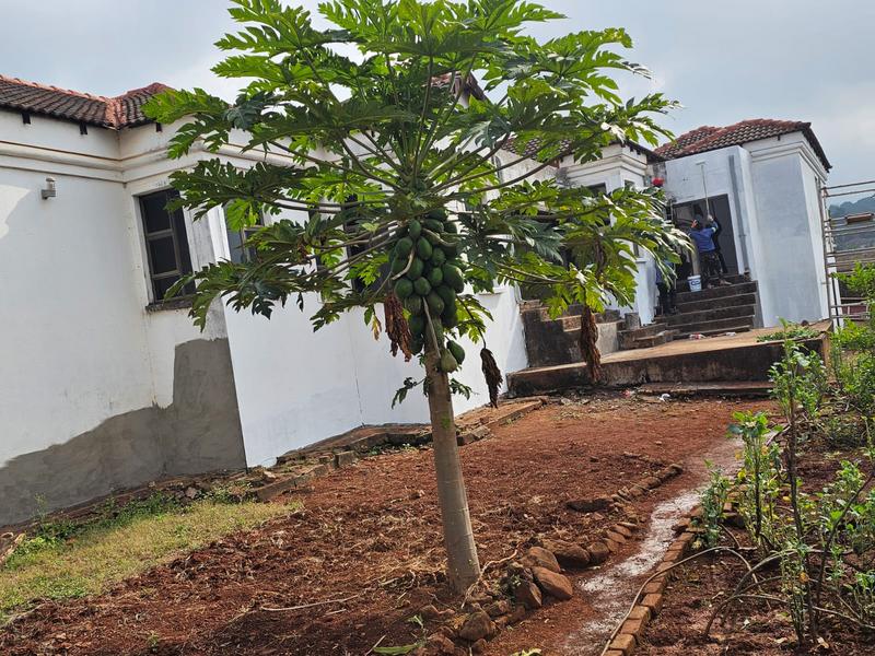 5 Bedroom Property for Sale in Thohoyandou Limpopo