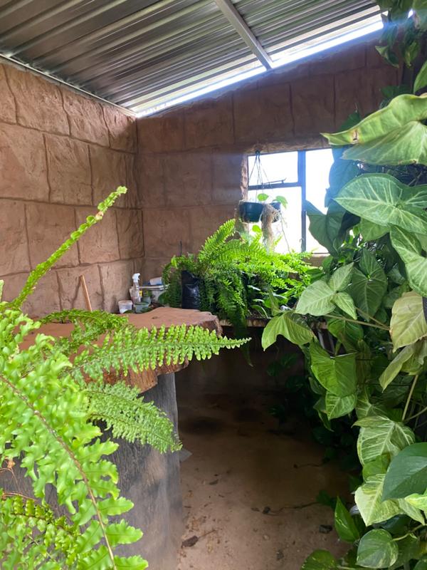 3 Bedroom Property for Sale in Polokwane Limpopo