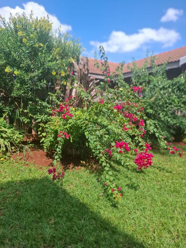 2 Bedroom Property for Sale in Thabazimbi Limpopo