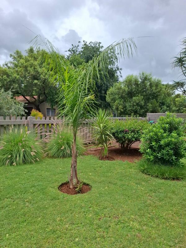2 Bedroom Property for Sale in Thabazimbi Limpopo