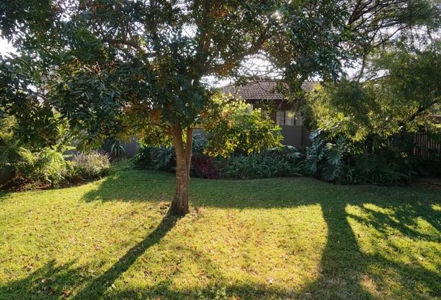3 Bedroom Property for Sale in Thabazimbi Limpopo